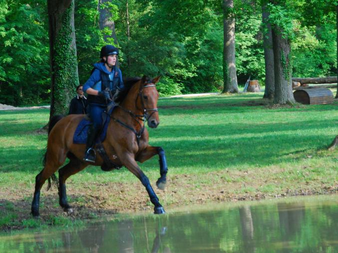 Recherche cavaliere serieuse