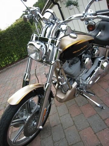 Harley-Davidson Screamin Aigle Deuce Coutume