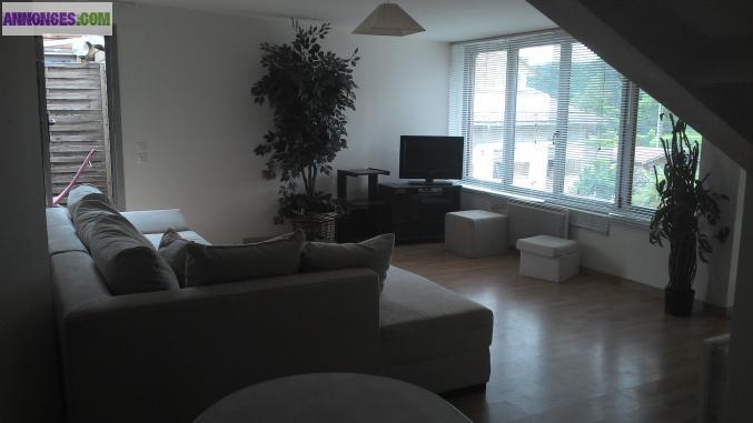 Loue appt 73 m2 +terrasse 20 m21o0^3