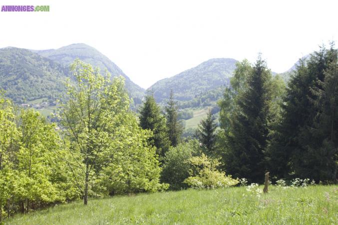 Maison d'hôtes de charme dans les Vosges