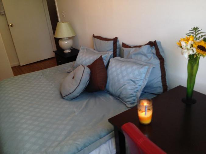 Appartement meublées et formidables à Paris