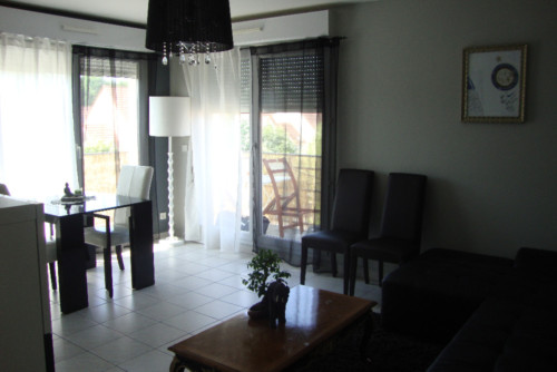 F2 Meublé 2 pièces 49 m2 Montrouge