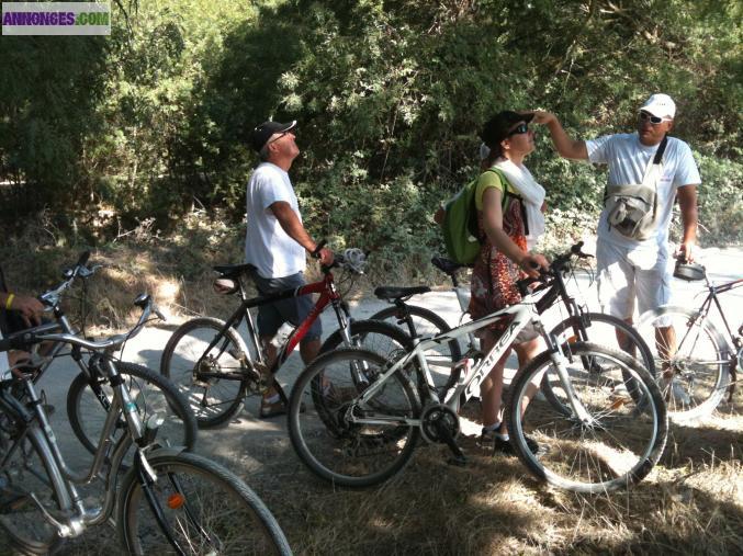 Visite guidée de la Camargue à vélo