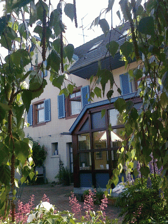 Wolxheim - Maison vignble 20 km Strasbourg