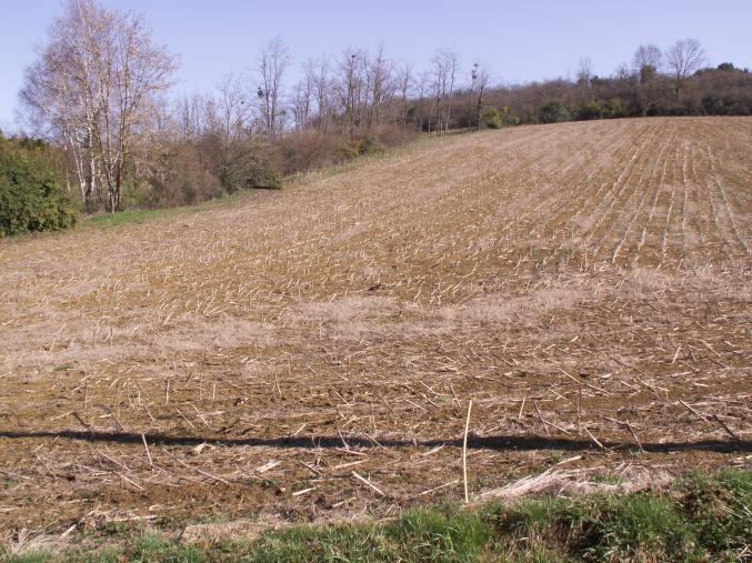 Terrain constructible à 09350 SABARAT