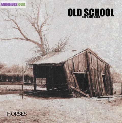 OLD SCHOOL Pop Berry Band