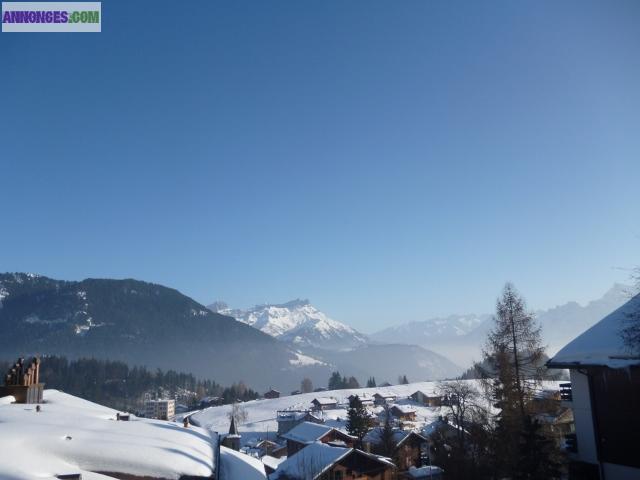 Appartement standing à Leysin