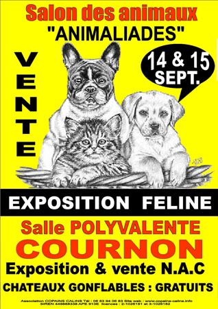 Salont du chiot et du chaton 14 et 15 septembre cournon d'auvergne