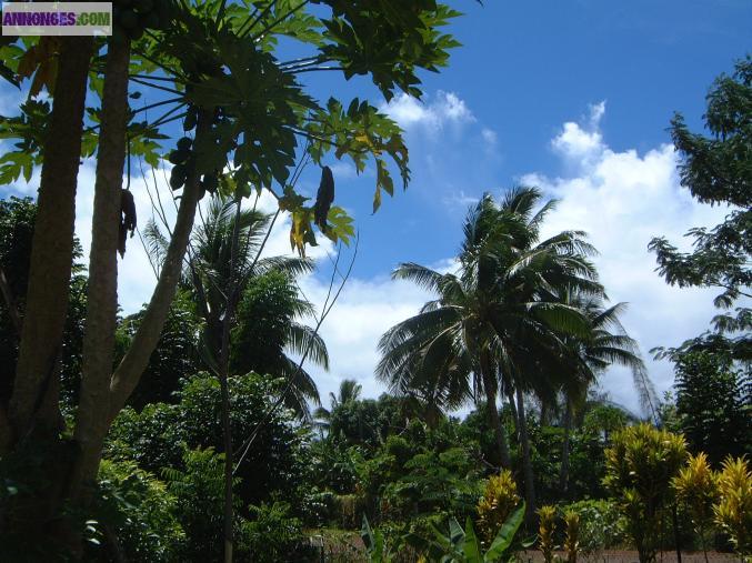 Eric ENDERLIN : et un terroir, un ! (Gers - 32)