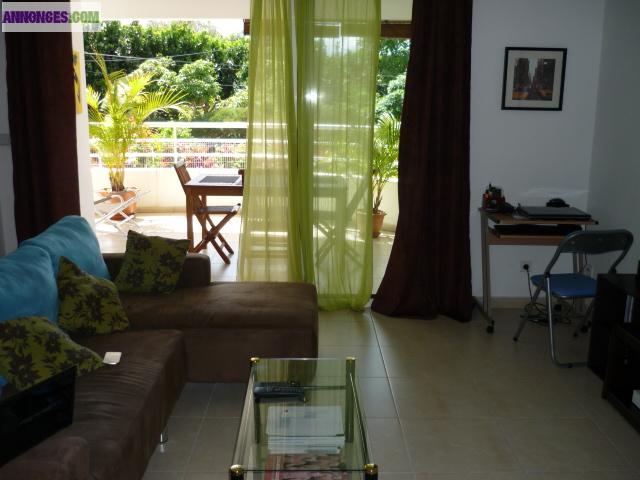 T2 STANDING RECENT FORT DE FRANCE (Didier)