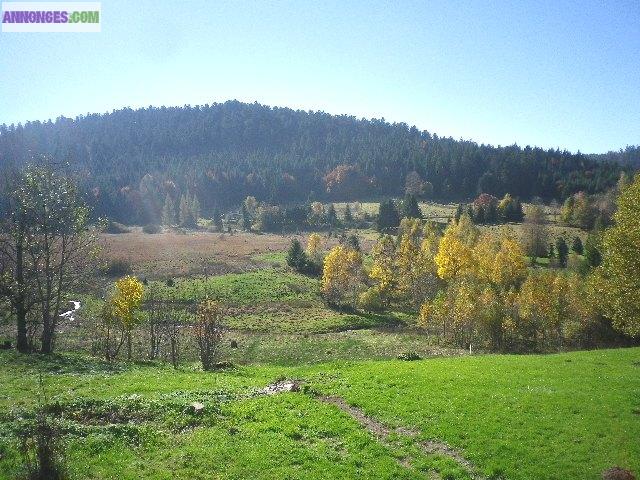 Hautes Vosges Authentique Ferme 1765 rénovée de AàZ