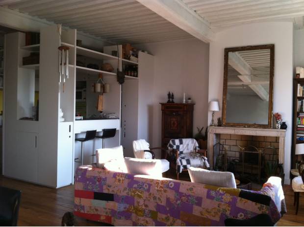 Loue magnifique appartement T2bis, bord du Rhône 