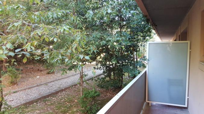 Loue appartemenr meublé F2 proche ave Pére Soulas