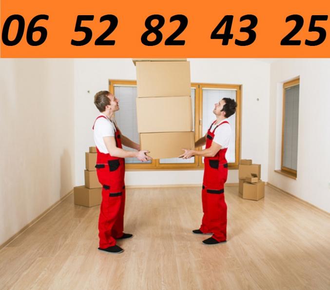     Transporteur, Déménageur, livreur, porteur     