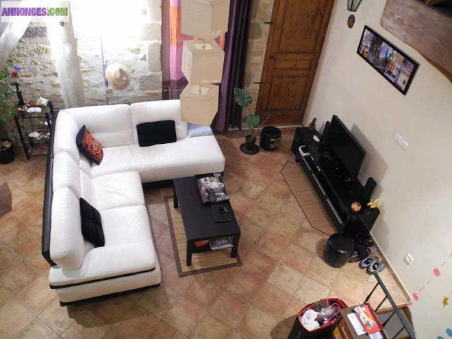 Appartement atypique 53m² + grande mezzanine 30m²