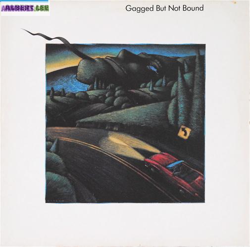 DISQUE VINYLE 33T ALBERT LEE