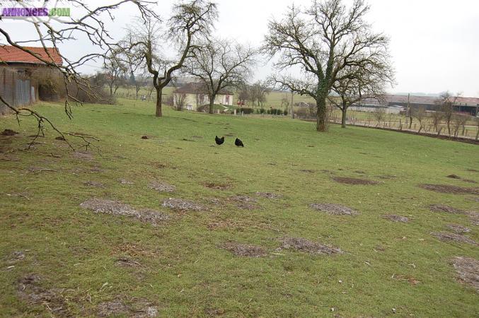 BEAU TERRAIN A BÄTIR