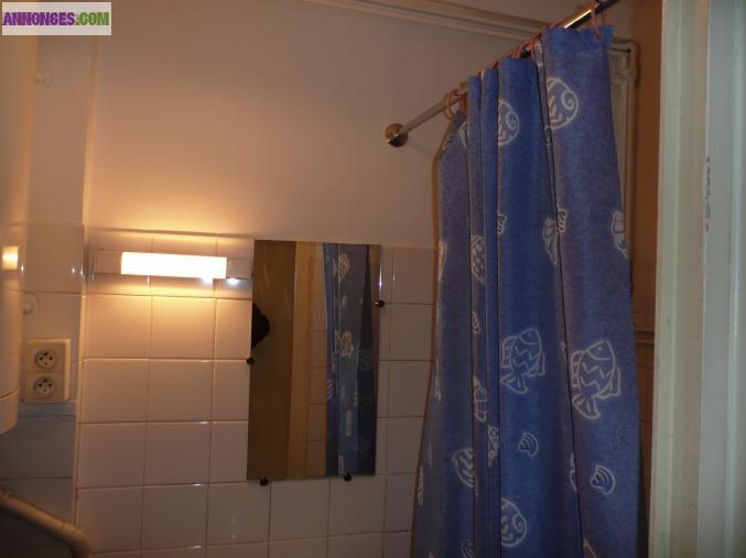 Loue Chahambre meubléé a etudiante a st martin d'heres 38400