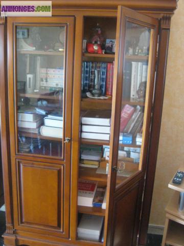 Bibliothèque à saisir