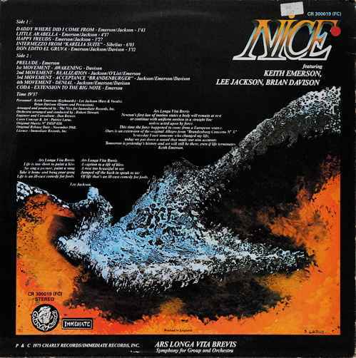 Disque vinyle 33t the nice