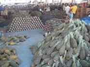 Ventes des ananas et des bananes