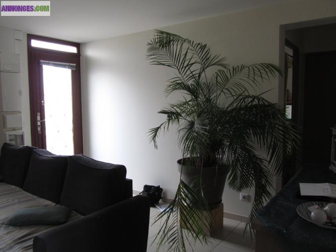 Appartement F2