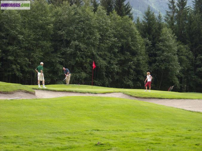 Location meublés à Les Carroz d'Arâches H.S.