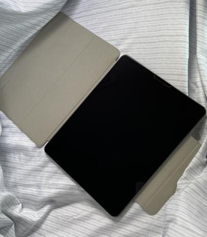 IPad Pro 2020 256go gris sidéral