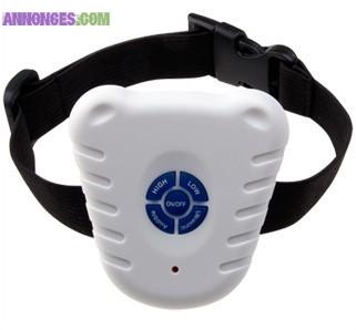 Collier anti aboiement