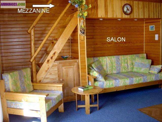 Sport d’hiver station appt 7 et 5 pers en chalet