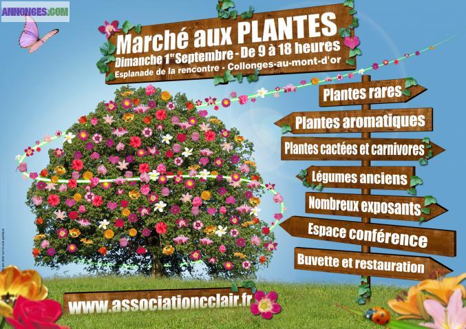 MARCHE AUX PLANTES