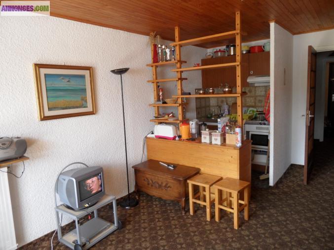 Grand studio2 38 m2 aux Deux Alpes