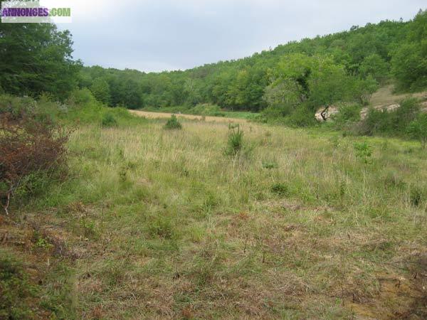 TERRAIN DE 3 HA DONT 1 HA CONSTRUCTIBLE EN PERIGORD NOIR