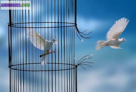 Coaching développement personnel en ligne