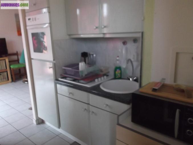 Appartement a geispolsheim village