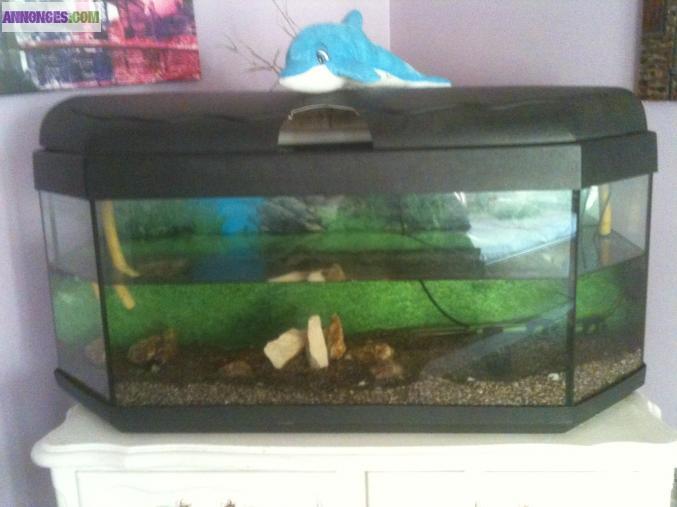 2 superbes aquariums