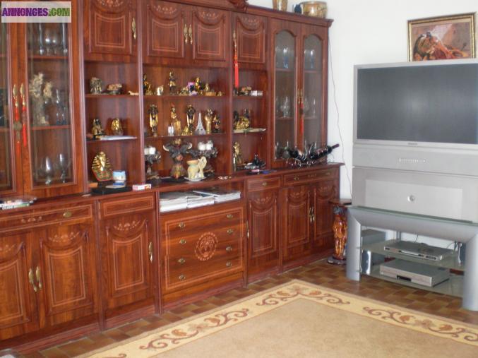 Maison meublee a louer