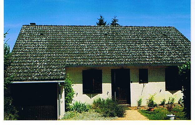 Demoussage nettoyage pose résine coloré sur toiture