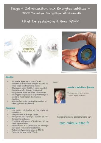 Stage "Introduction aux énergies subtiles" 