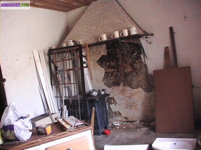 Maison avec terrain attenant