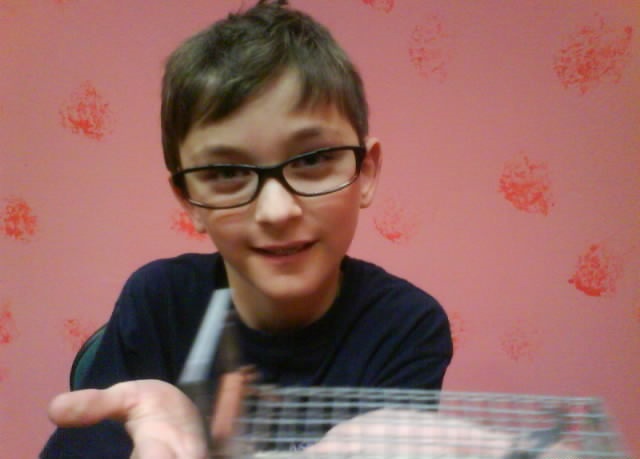 Recherche urgent,baby-sitter 