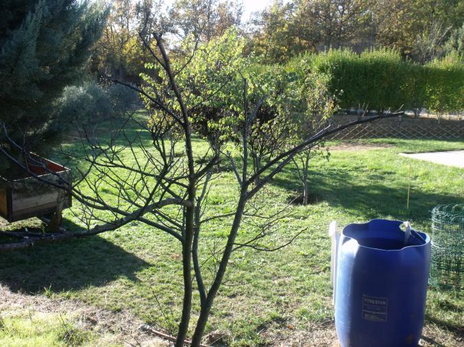 Dans joli village de la Provence verte