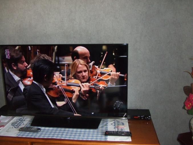 Decodeur sagemcom DS87