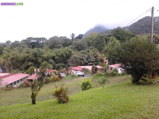 LOCATION SAISONNIERE