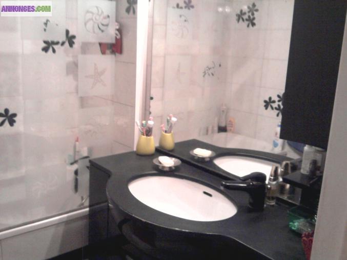 Appartement F3 très bon état proche de paris