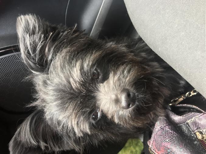 Creation serveur virtuel