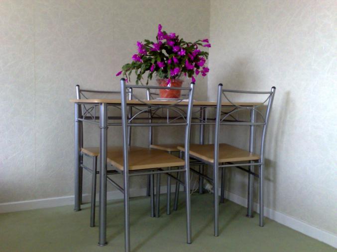 MIRECOURT - LOUE Appartement T1 meublé & équipé 