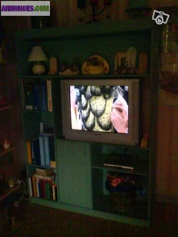 Bibliothèque de Salon