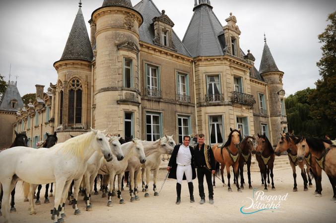 Biennale Equestre