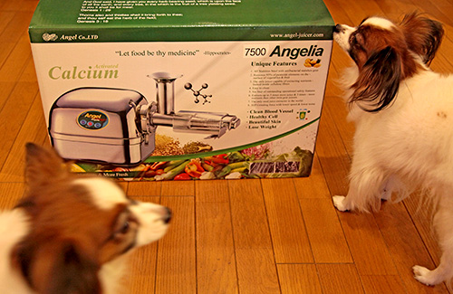 Extracteur de jus ANGEL 7500, NEUF 100%